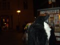 DSCF2893.JPG